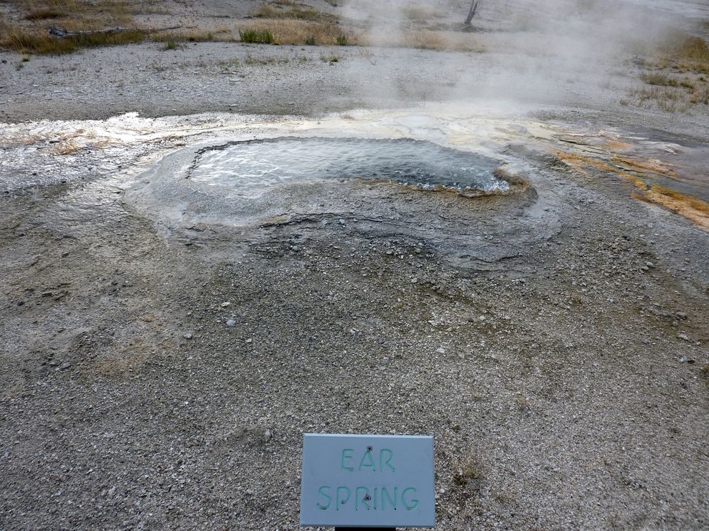 Yellowstone Old faithfull et ses environs (36).JPG